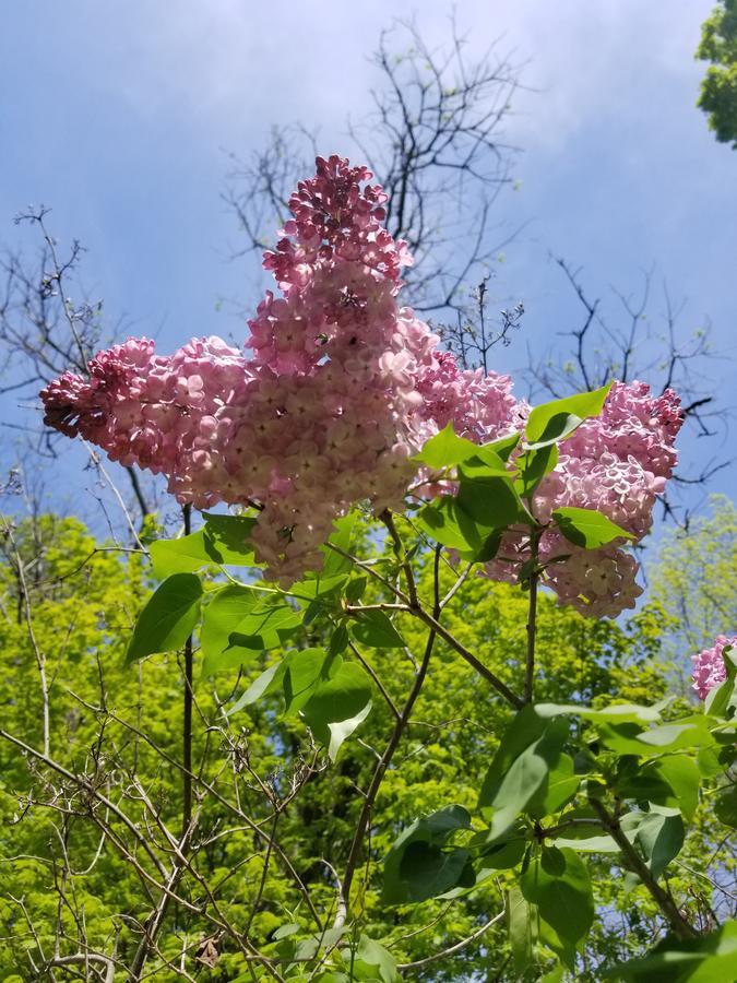坎垂生活住宿加早餐旅馆 奥尼昂塔 外观 照片
